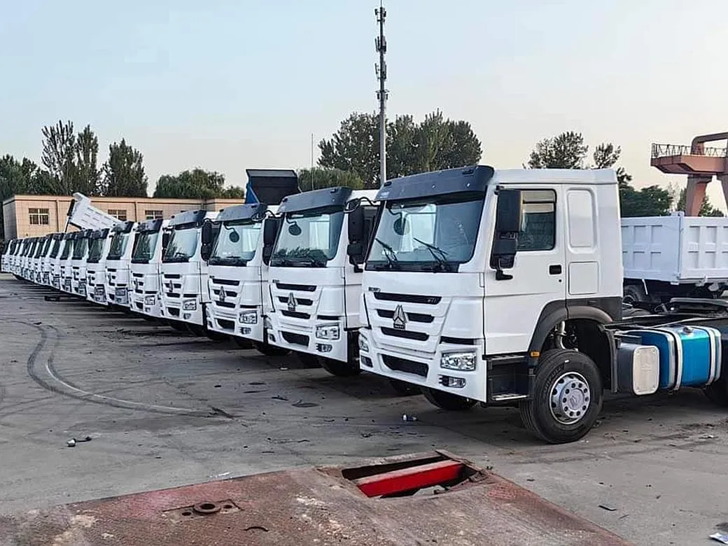 Row of used 6x4 tipper trucks lined up for export inspection